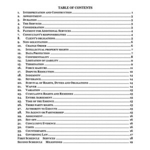 Service Agreement (Pro-Client) (Template) | Netsheria legal documents