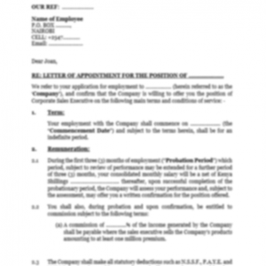 Employment contract | Netsheria International LLP Legal documents in Kenya